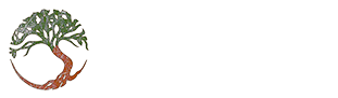 Вековые традиции